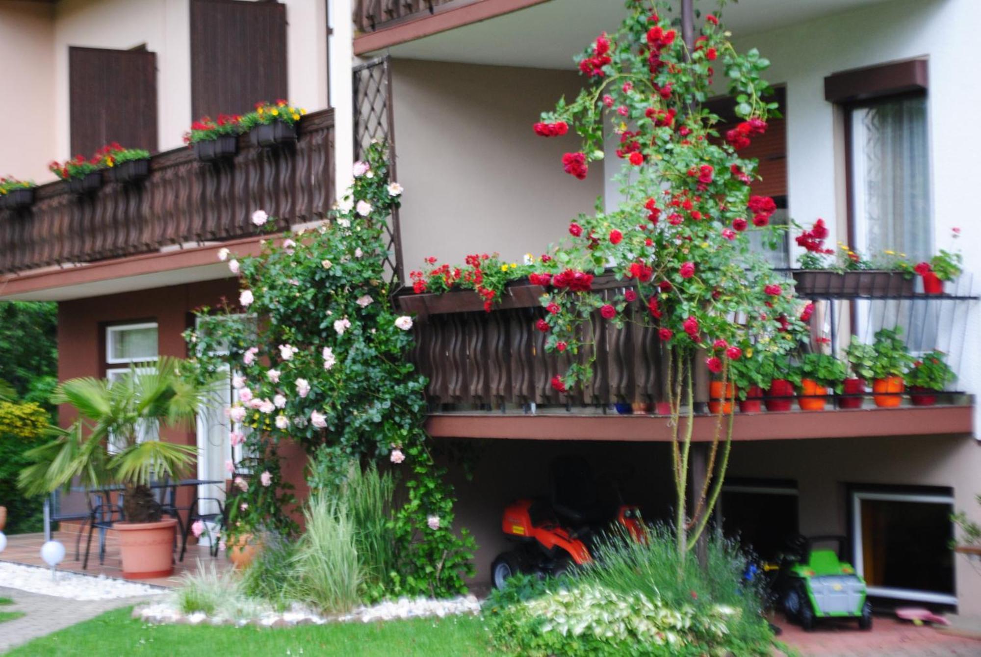 Ferienhaus Michor Latschach ober dem Faakersee Dış mekan fotoğraf
